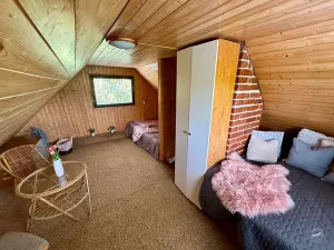 Prodej chaty, Borotice, 49 m2