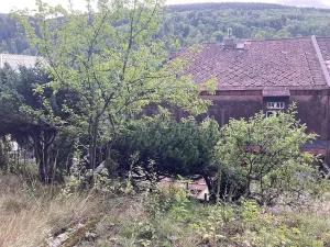 Prodej rodinného domu, Jáchymov, Prokopova, 120 m2