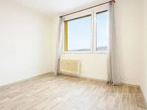 Pronájem bytu 2+kk, Chomutov, Holešická, 42 m2