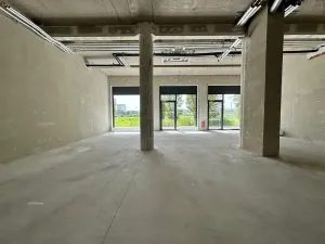 Pronájem obchodního prostoru, Brno, Opuštěná, 134 m2