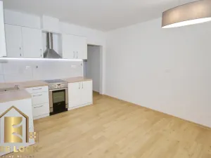 Pronájem bytu 2+kk, Černíkovice, 40 m2