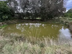 Prodej ubytování, Štědrá, 1787 m2