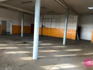 Pronájem skladu, Grygov, Blatecká, 217 m2