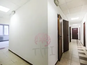 Pronájem kanceláře, Praha - Karlín, Thámova, 154 m2