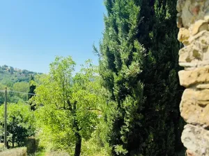 Prodej zemědělské usedlosti, Subbiano, Itálie, 350 m2