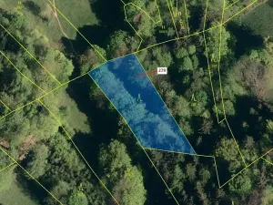 Dražba lesa, Zděchov, 1413 m2