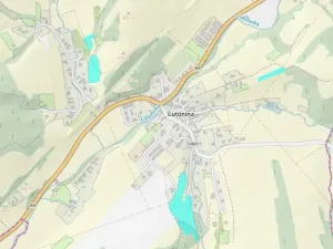 Dražba louky, Lutonina, 40068 m2