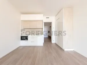 Pronájem bytu 1+kk, Praha - Libeň, Kurta Konráda, 30 m2