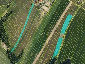 Prodej zahrady, Maršov, 31902 m2