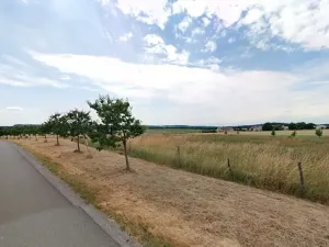 Prodej zahrady, Maršov, 31902 m2