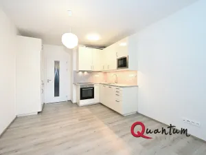 Pronájem bytu 1+kk, Praha - Malešice, Nad úžlabinou, 27 m2