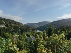 Prodej bytu 2+kk, Špindlerův Mlýn, Vodárenská, 41 m2