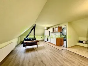 Pronájem bytu 1+kk, Veselá, 50 m2