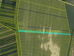 Prodej pole, Svatobořice-Mistřín, Hlavní, 8725 m2