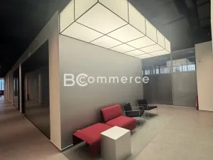 Pronájem kanceláře, Brno, Purkyňova, 25 m2