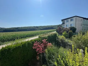 Pronájem bytu 1+kk, Brno - Žebětín, Keřová, 32 m2