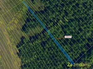 Dražba lesa, Ivančice, 255 m2