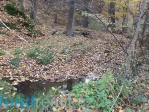 Prodej pozemku, Český Těšín, 3946 m2