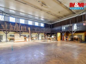 Prodej obchodního prostoru, Bílovec - Lubojaty, 500 m2