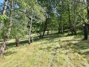 Prodej pozemku pro bydlení, Vlachovo Březí, 16463 m2