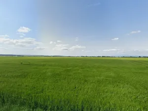 Prodej pole, Těšetice, 70784 m2