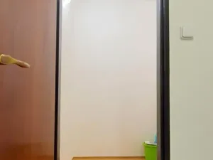 Prodej bytu 2+1, Praha - Dejvice, Krohova, 70 m2