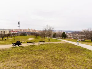 Pronájem bytu 1+1, Praha - Žižkov, Jičínská, 30 m2