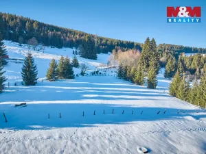 Prodej louky, Malá Úpa - Dolní Malá Úpa, 2445 m2