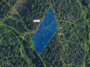 Dražba lesa, Jílové u Držkova, 6213 m2