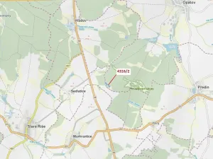 Dražba lesa, Opatov, 7085 m2