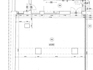 Pronájem obchodního prostoru, Přeštice, Masarykovo nám., 179 m2