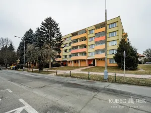 Prodej bytu 3+1, Pelhřimov, Pražská, 64 m2