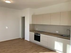 Pronájem bytu 2+kk, Praha - Žižkov, Na rovnosti, 56 m2