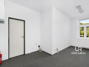 Pronájem kanceláře, Brno - Staré Brno, Zahradnická, 32 m2