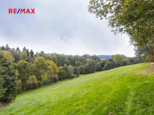 Prodej pozemku pro bydlení, Orličky, 61702 m2