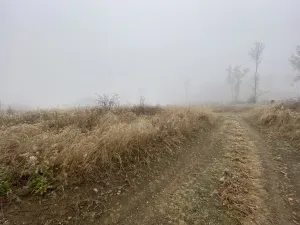 Prodej lesa, Městečko Trnávka - Lázy, 32904 m2