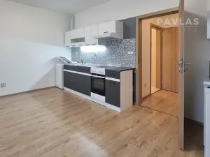 Pronájem bytu 1+kk, České Budějovice, Lidická tř., 29 m2