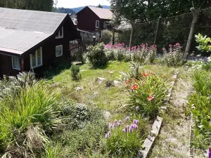 Prodej - jiné, Desná, Sokolská, 18 m2