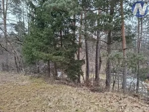 Prodej lesa, Lčovice, 759 m2