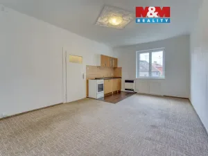 Pronájem bytu 1+kk, Plzeň - Doubravka, Masarykova, 28 m2
