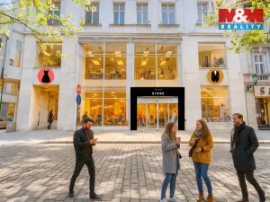 Pronájem obchodního prostoru, Plzeň - Vnitřní Město, Zbrojnická, 598 m2