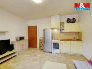 Prodej bytu 2+kk, Plzeň - Jižní Předměstí, Karlova, 42 m2