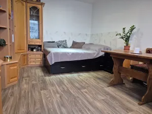 Prodej bytu 2+1, Brno, Ostružinová, 46 m2