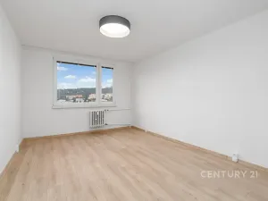 Pronájem bytu 2+1, Ústí nad Labem, U Pivovarské zahrady, 65 m2