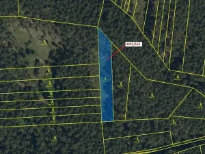 Dražba lesa, Vracov, 1702 m2