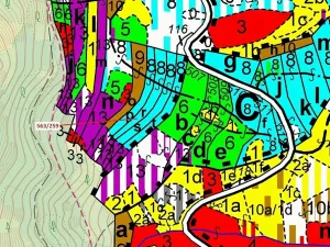 Dražba lesa, Spešov, 2318 m2