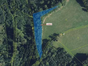 Dražba lesa, Kladky, 3057 m2