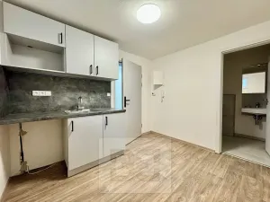 Pronájem bytu 1+kk, Střelice, Nová ulice, 16 m2