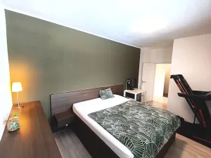 Prodej bytu 3+kk, Brno, Kigginsova, 81 m2