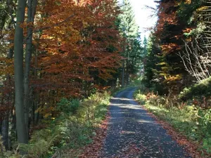 Prodej bytu 3+kk, Černý Důl, 77 m2